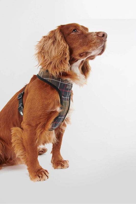 Tartan Dog Harness - CLASSIC TARTAN