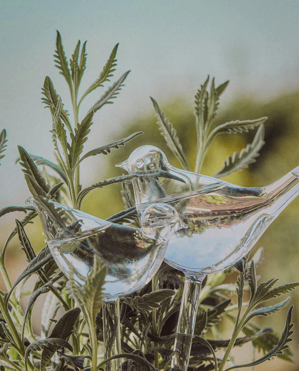 Selbstbewässernde Blase aus Borosilikatglas 