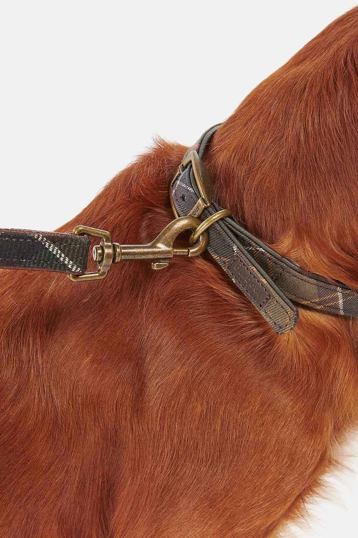 Tartan dog collar - CLASSIC TARTAN