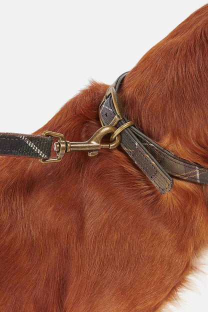 Tartan dog collar - CLASSIC TARTAN