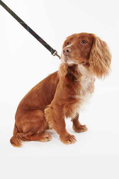 Tartan Dog Lead - CLASSIC TARTAN