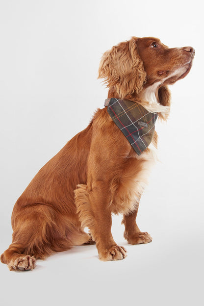 Tartan Dog Bandana - CLASSIC TARTAN