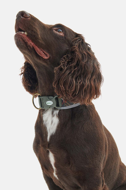 Reflective Tartan Comfort Collar - CLASSIC TARTAN