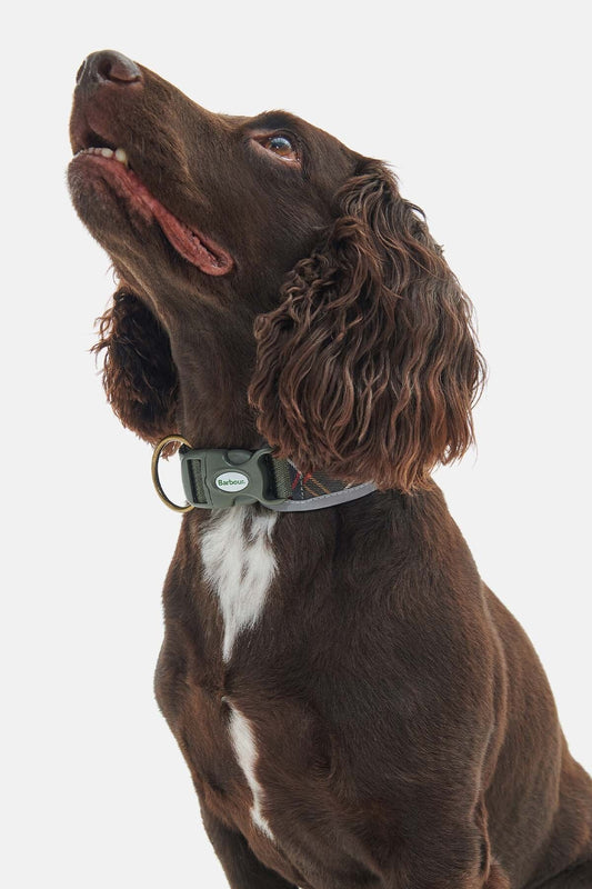 Reflective Tartan Comfort Collar - CLASSIC TARTAN