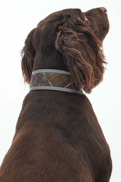 Reflective Tartan Comfort Collar - CLASSIC TARTAN