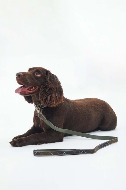 Reflective Tartan Comfort Lead - CLASSIC TARTAN