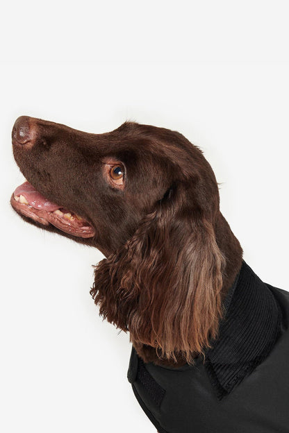 Wax dog coat - BLACK