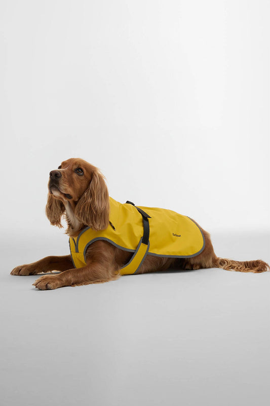 Evie Waterproof Dog Coat - LIMEADE